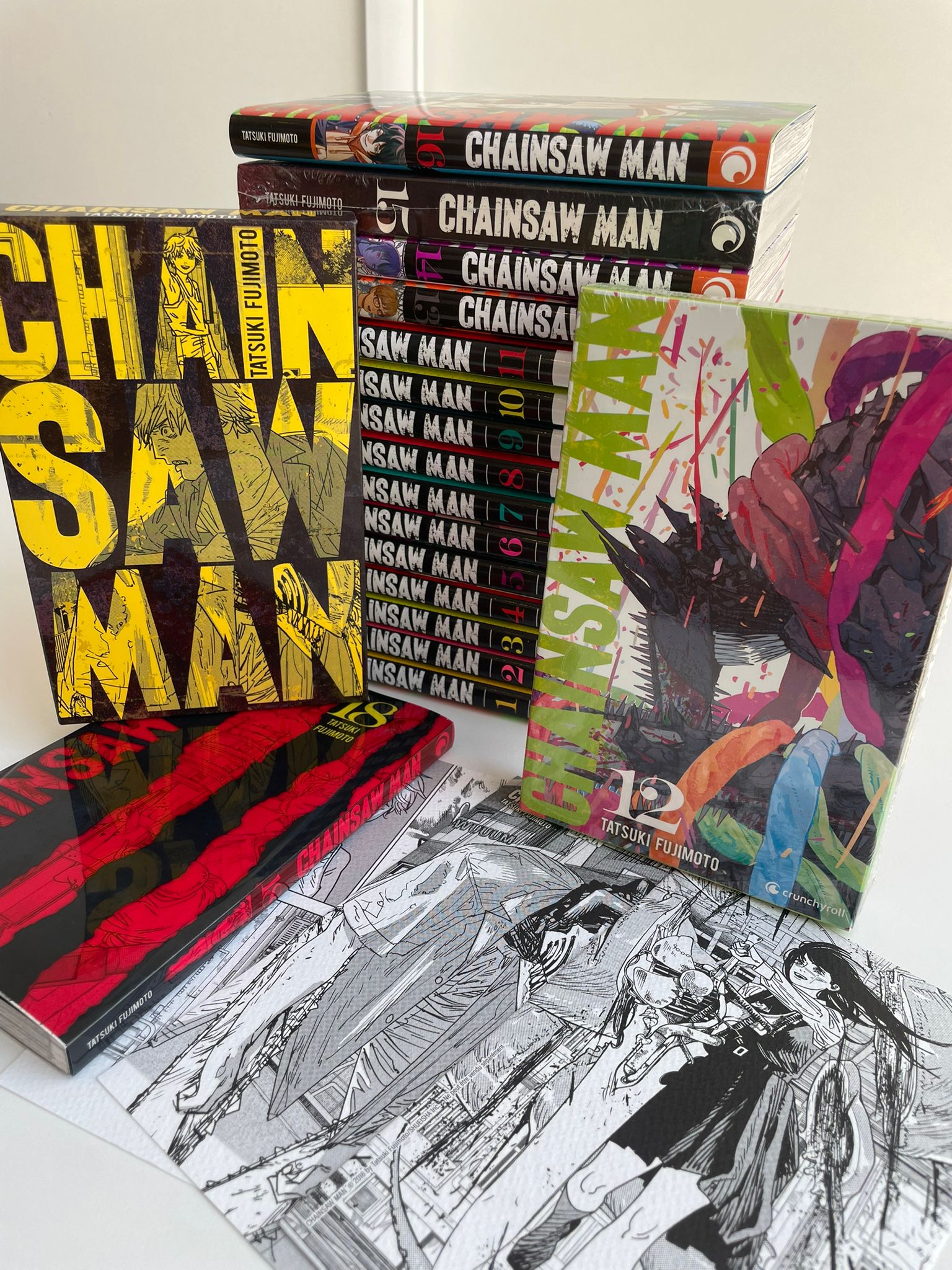 Chainsaw Man Intégrale en cours (dont coffret collector 12/15/17 et T18 limité)  